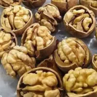 گردو