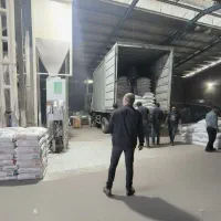 برنج اصیل و اعلای جنوب ( چمپا ـ عنبربو)