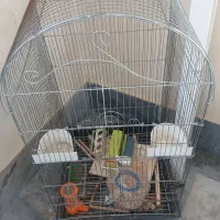 قفس طوطی سان متوسط با وسایل کامل