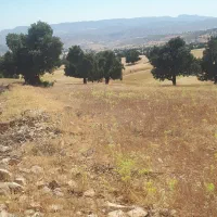زمین-کشاورزی