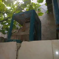 به شرط سلامتکوچکترین پوسیدگی ندارد