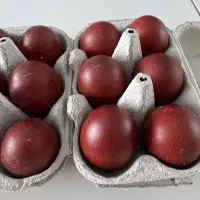 جوجه مارانس ، گرید بالا