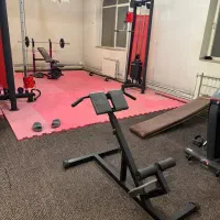 وسایل بدنسازی پرس دمبل صفحه هالتر فیله تاتامی