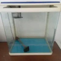 آکواریوم شرکتی