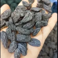 مویز درجه یک و خوشمزه