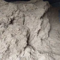 کاه گندم خورد شده