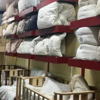 نیازمند به کارمند