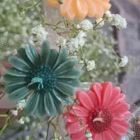 گلهای رنگارنگ