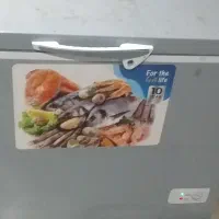 فریزر صندقی