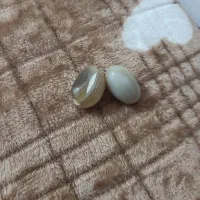 مهره برد
