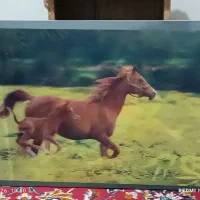 قاب عکس سه بعدی ۲ عدد