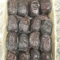 خرمای مضافتی بم