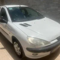 206 تیپ ۲ مناسب مصرف کننده