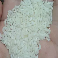 حراج برنج|خوردنی و آشامیدنی|شوش, |دیوار