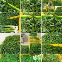 پخش سبزی خورد شده