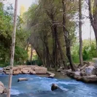 شش پیر