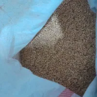 گندم|عمدهفروشی|شوشتر, |دیوار