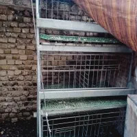 دوعدد قفس پرنده  گاروانیزه وآهنی