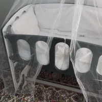 سالم و بی خط و خش