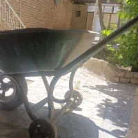 فرغون نو و محکم