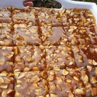 محصولات شمالی