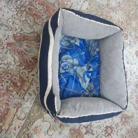 جای مناسب خواب گربه