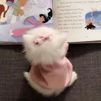 واگذاری گربه کوچک