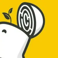 پنل الماس ماز