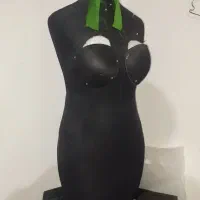 مانکن سوزن خور