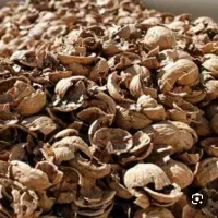 پوست گردو و بادام به قیمت روز آلرام