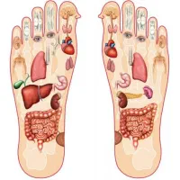 ماساژ|خدمات زیبایی و سلامت|مهریز, |دیوار