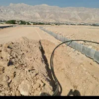 زمین فرزنداوری