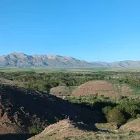 باغ سرسبز یک هکتاری