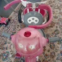 سه چرخه صورتی سالم