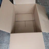 کارتن