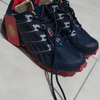 کفش اسپورت