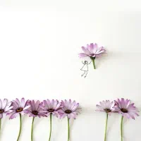 آموزشی و تدریس خصوصی، ابتدایی پایه اول تا چهارم