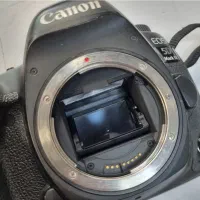 5D Mark Iv|دوربین عکاسی و فیلم‌برداری|رشت, دیلمان|دیوار