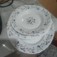 ۶ عدد بر نج،۴ عددخورشت،۱عدد دیس
