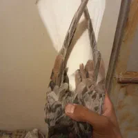 هفت رنگ دم سفید طوقی