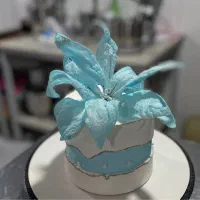 پخت کیک تولد با قیمت مناسب