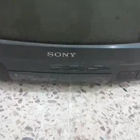 تلویزیون