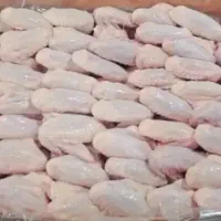 کتف وبال مرغ