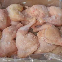 مرغ مجلسی اربعین
