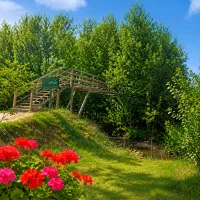 زیر قیمت واقعی.فقط برای امروز