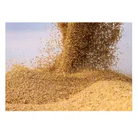 سویا برزیل درجه ۱