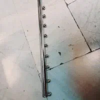 رگال