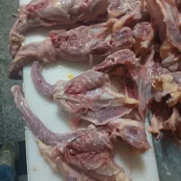 غذایی سگ ارزان به قیمت باکیفیت