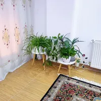 سوییت اجاره پارکینگ دار داخل شهرجوانرود بدون واسطه|اجارهٔ کوتاه‌مدت آپارتمان و سوئیت|جوانرود, |دیوار