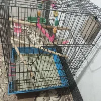 قفس پرنده سایز بزرگ